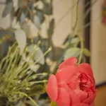 Weinforum Franken & Restaurant Hotel