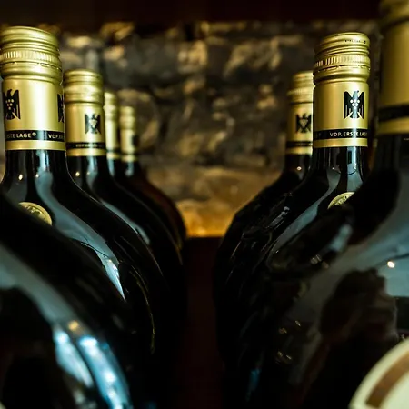 Weinforum Franken Hotel&restaurant 3* Eibelstadt